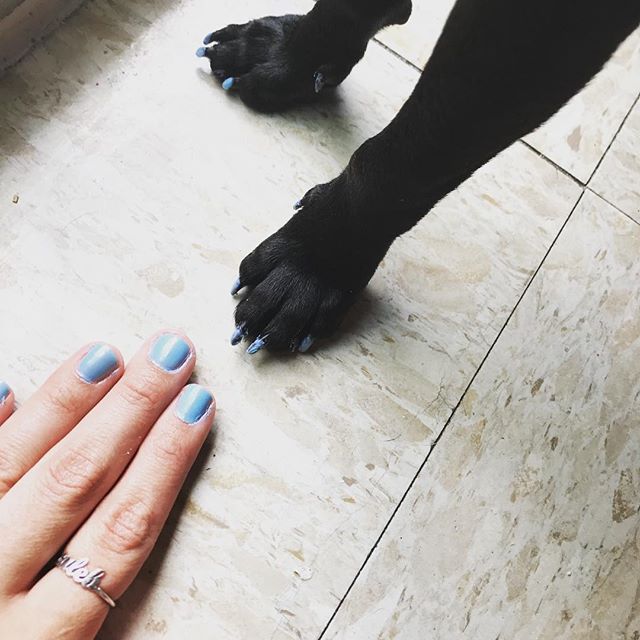 19765073_319578508491608_8830682279333330944_n